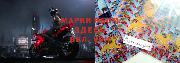 тгк Абаза