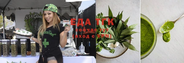 тгк Абаза